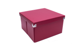 [PNS02LSRD] CAJA DE ARCHIVO ROJA MEDIUM SQUARE 9.75X 